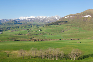 Remorquage Voiture Cournon-d'Auvergne